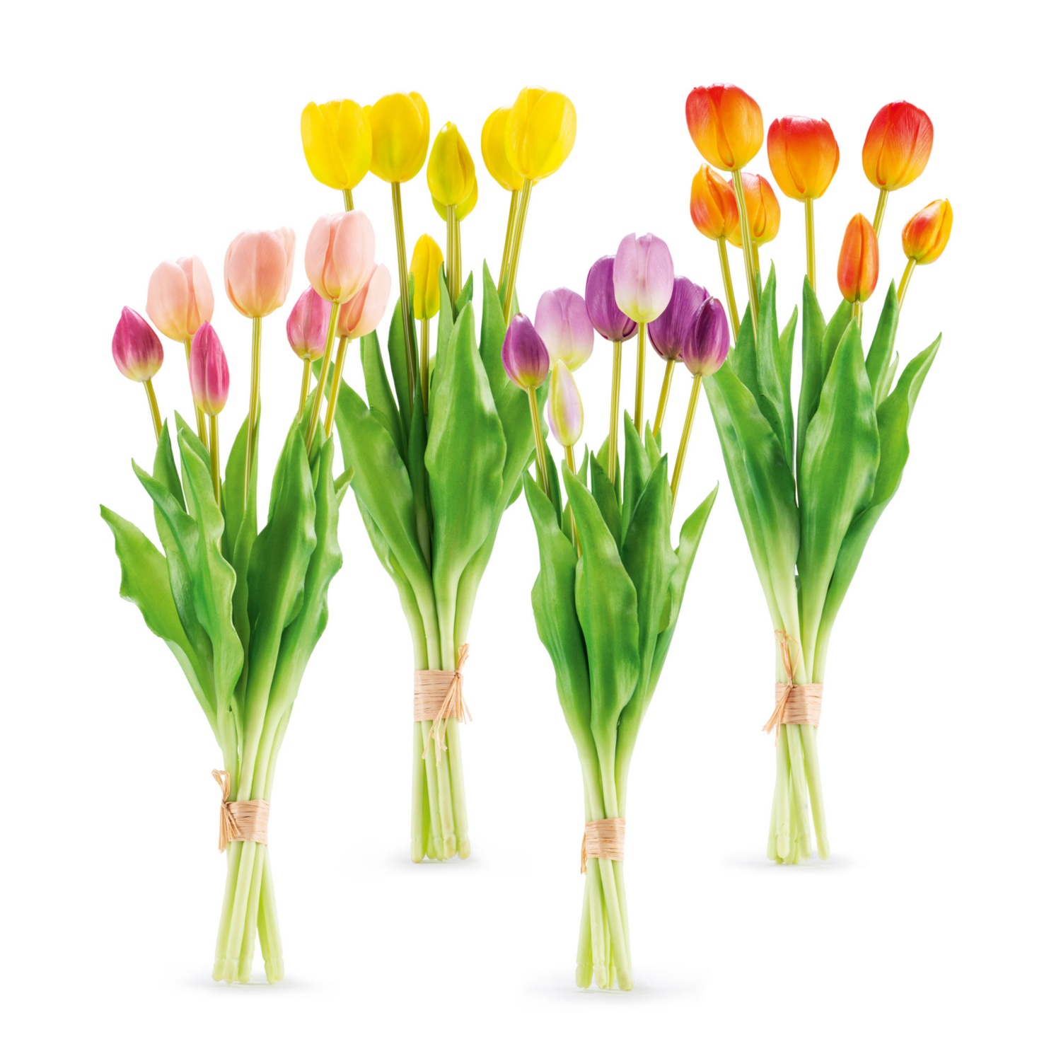 Naturgetreue Tulpen