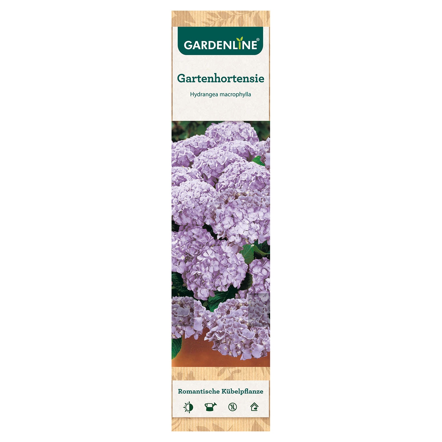 GARDENLINE® Premium Beetpflanzen