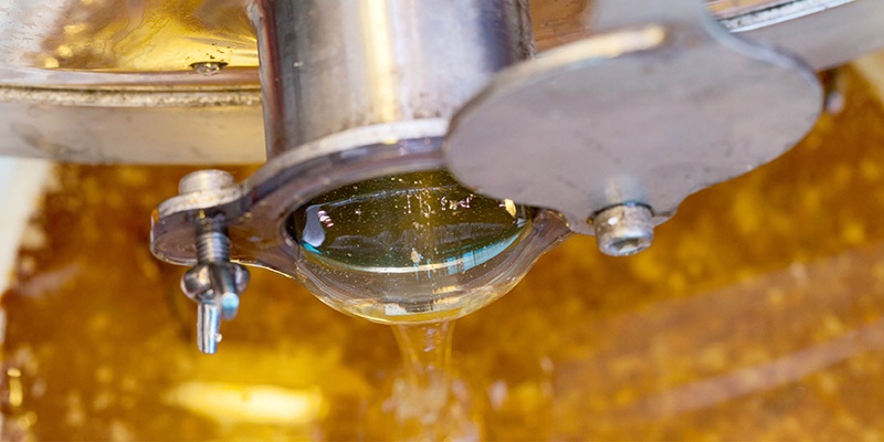 Méhészek feladatai: November