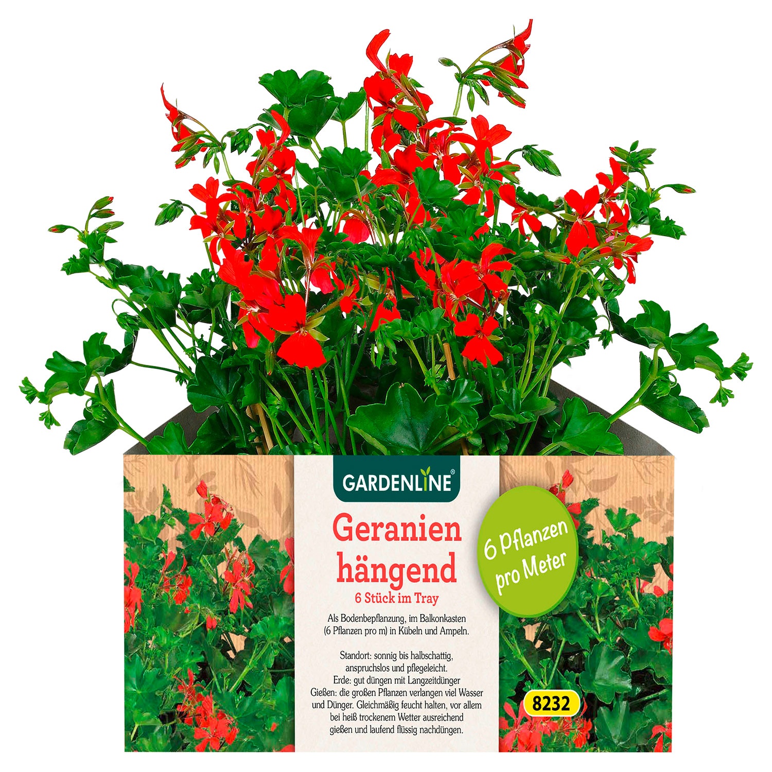 GARDENLINE® Beet- oder Balkonpflanzen, 6er-Tray