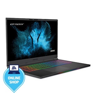 MEDION® ERAZER® Beast X25 High-End Gaming Notebook
