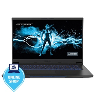 MEDION High-End Gaming-Notebook MEDION® ERAZER® Beast X20 (MD64065)