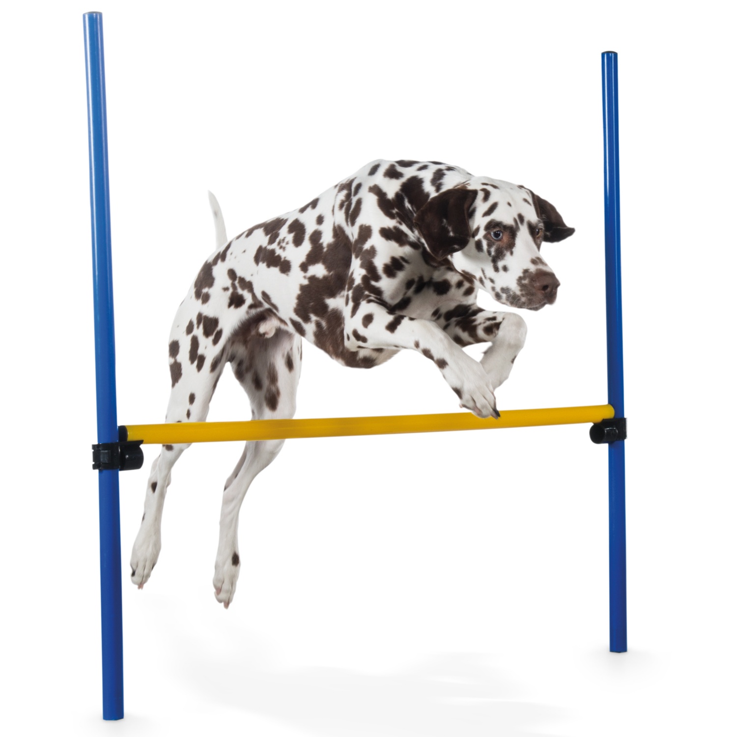 ROMEO Agility-Zubehör