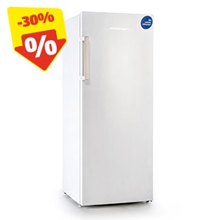 ELEKTRA BREGENZ No-Frost Gefrierschrank GFS 1519