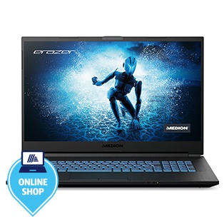 MEDION Core Gaming Notebook MEDION® ERAZER® Defender P15 (MD64095)