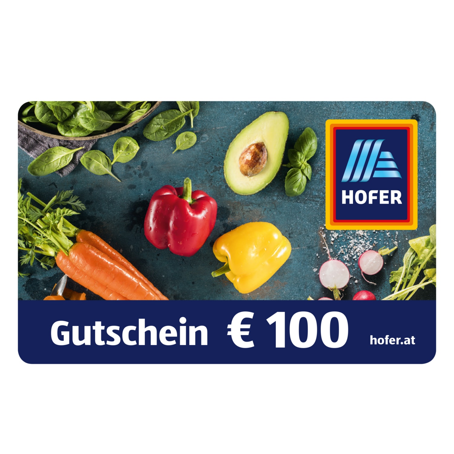 HOFER Warengutschein € 100 (per E-Mail zum Ausdrucken)