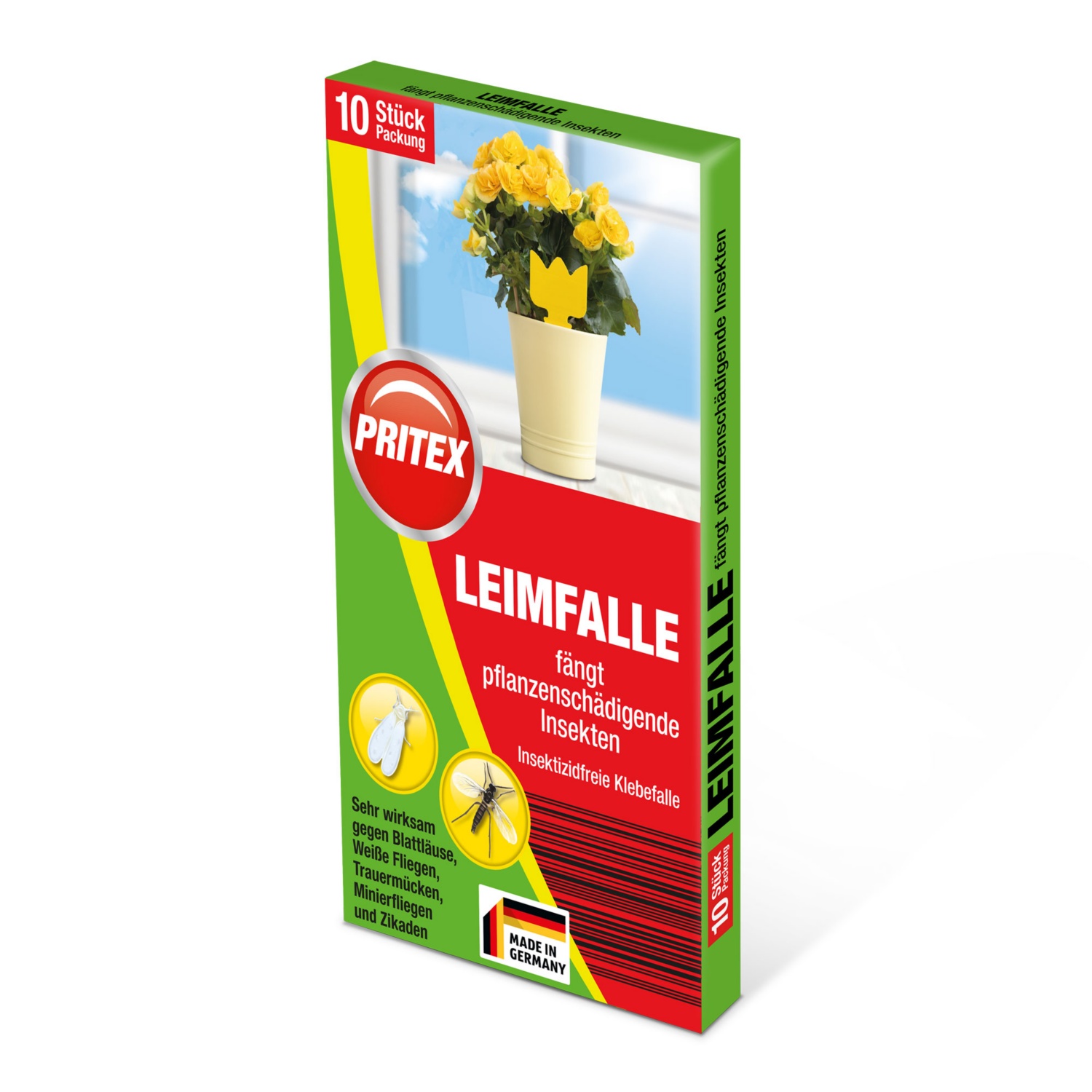 Leimfalle