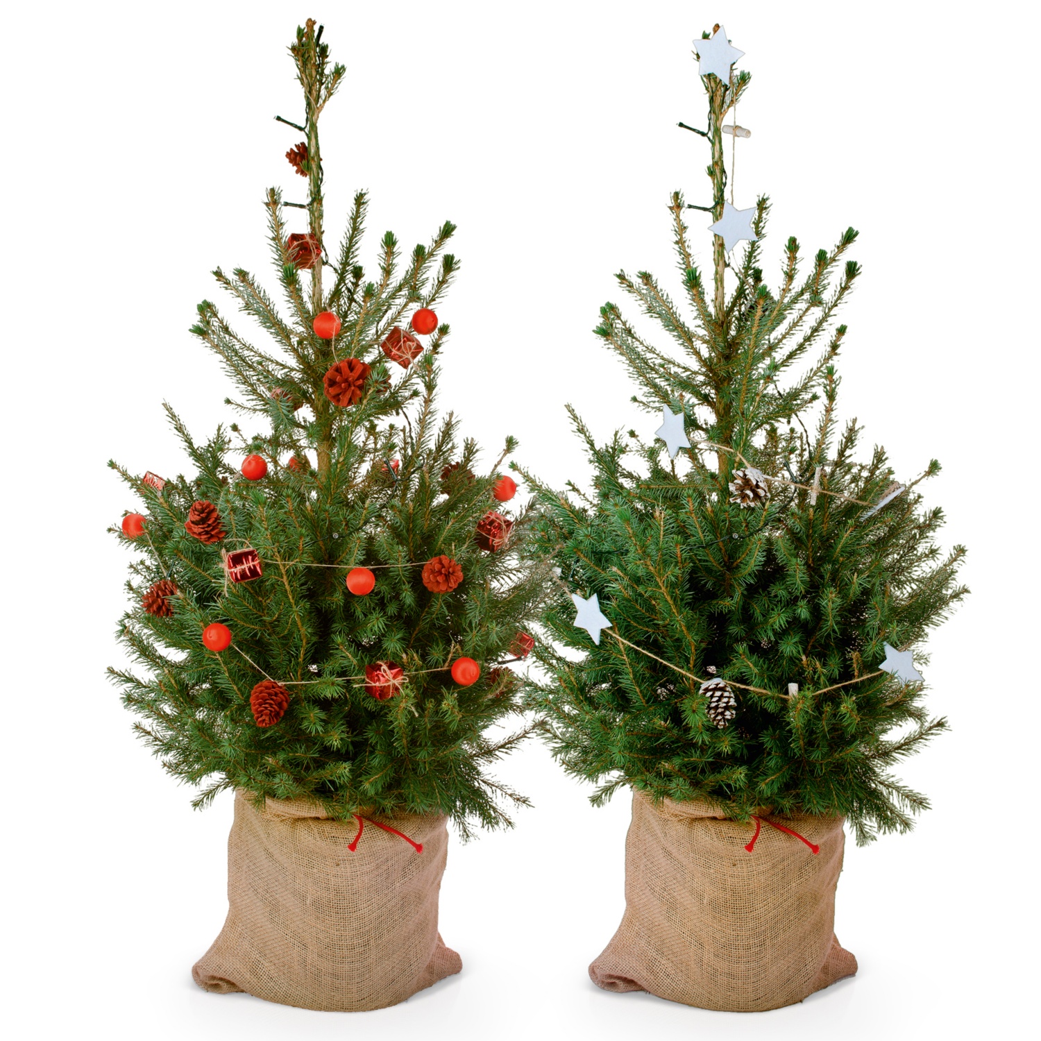 Geschmückter Weihnachtsbaum | ALDI SUISSE