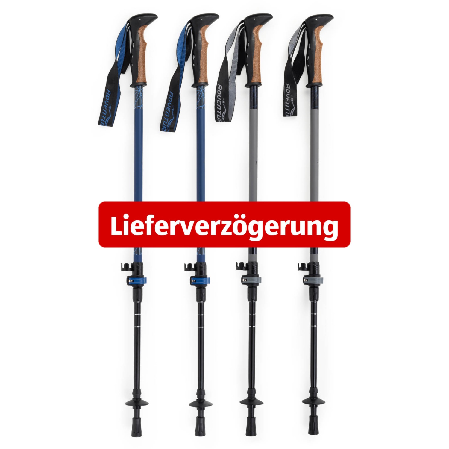 ADVENTURIDGE Bâton de randonnée/trekking ALDI SUISSE