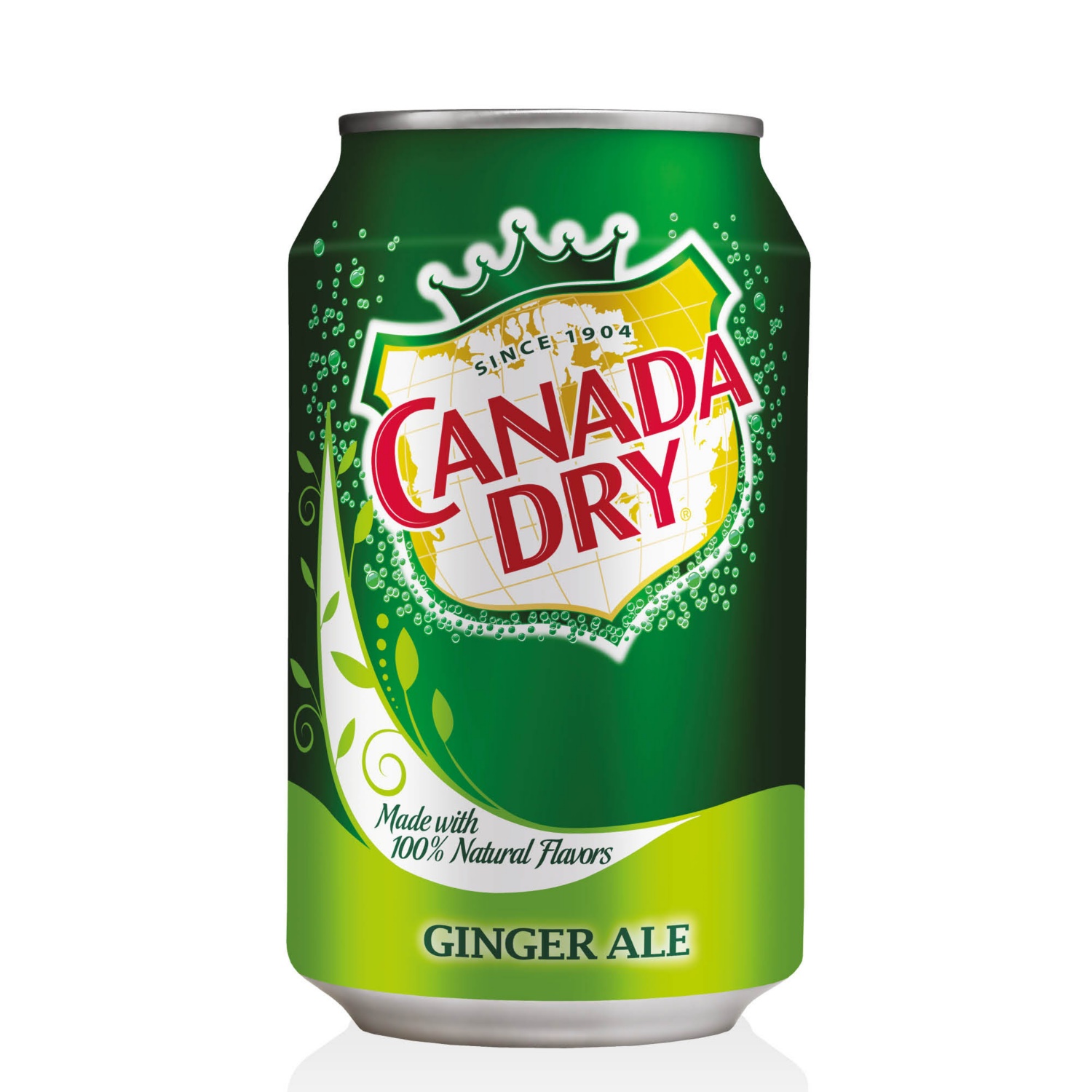 CANADA DRY Szénsavas üdítőital,  0,33 l