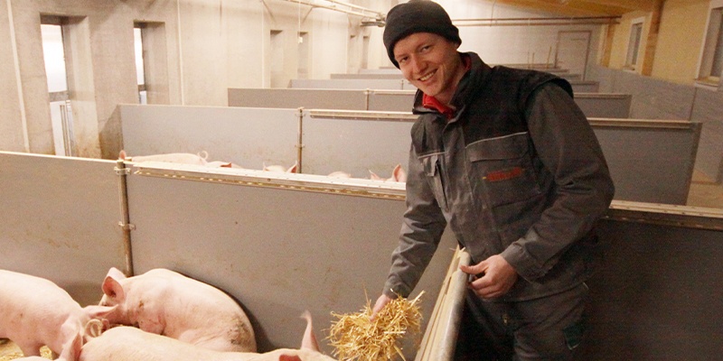 Herr Radinger im Schweinstall - FairHOF Bauer
