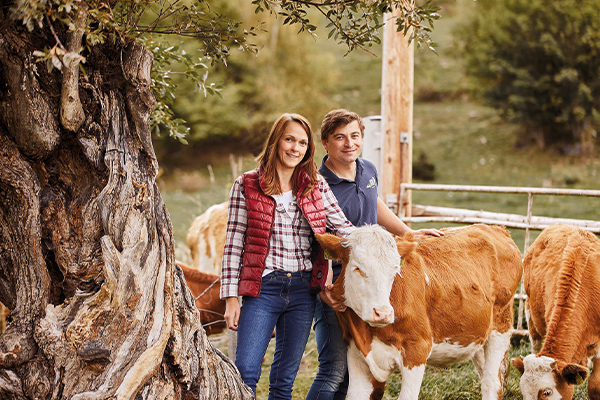 Mann und Frau bei einer Kuh unter einem Baum