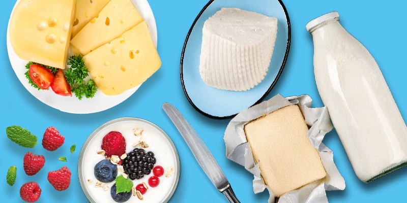 Käse, Milch, Butter und Joghurt