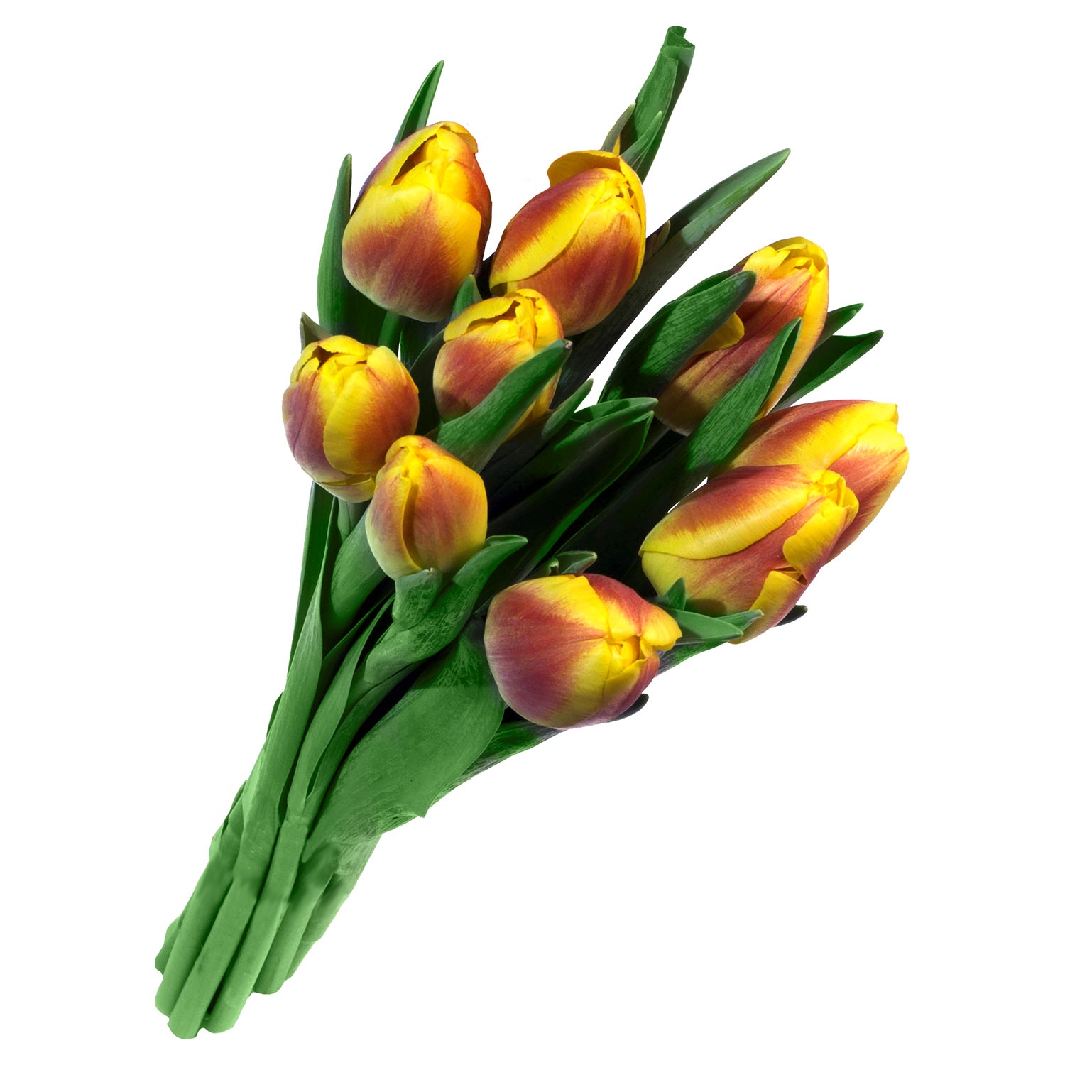 Tulpen Standard 225 g