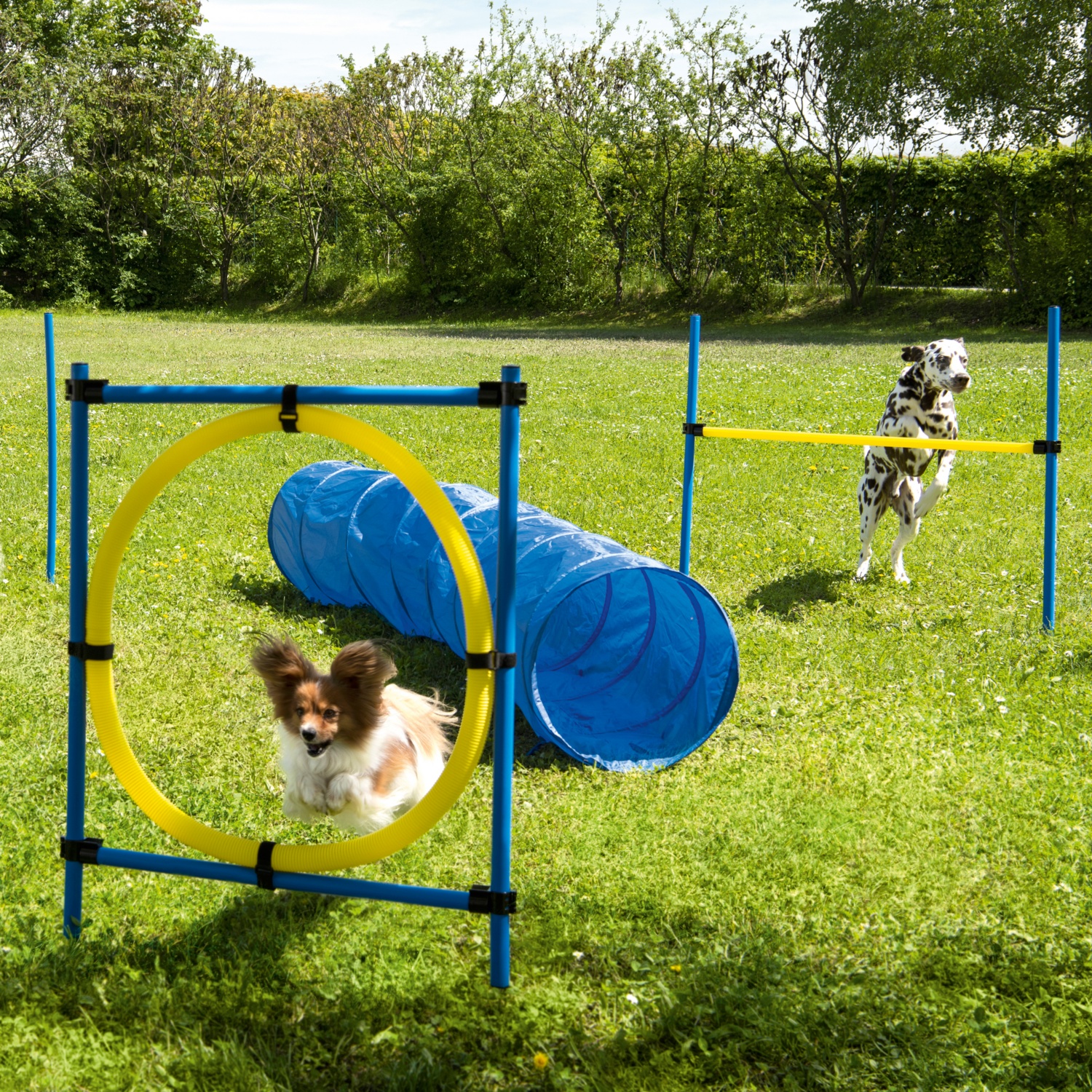 ROMEO AgilityZubehör, Tunnel HOFER