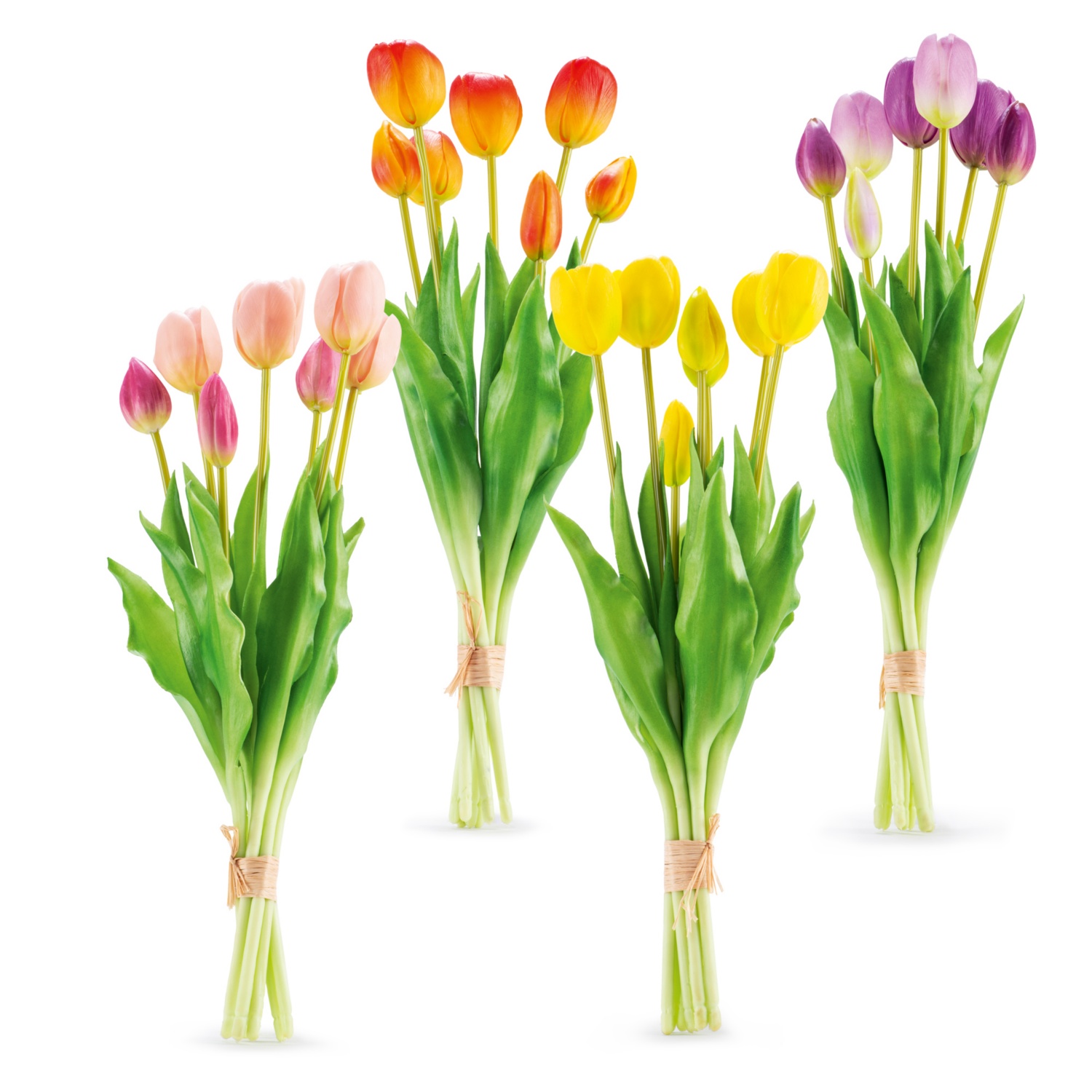 Naturgetreue Tulpen