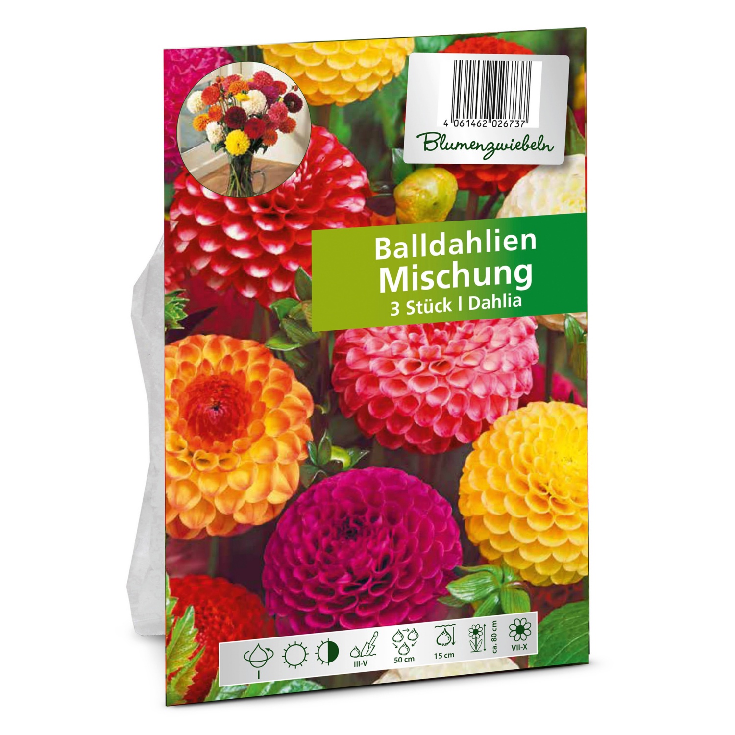 Blumenzwiebeln, BallDahlie ALDI SUISSE
