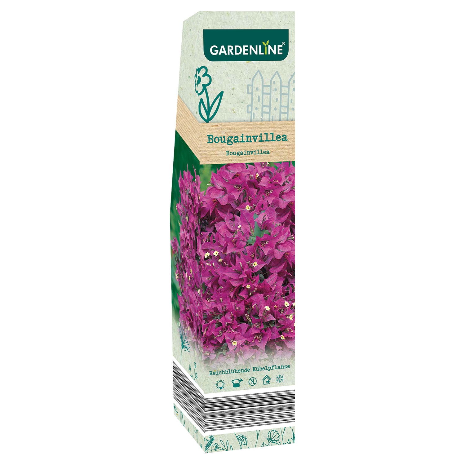 GARDENLINE Premium-Beetpflanzen-Sortiment und -Rosen
