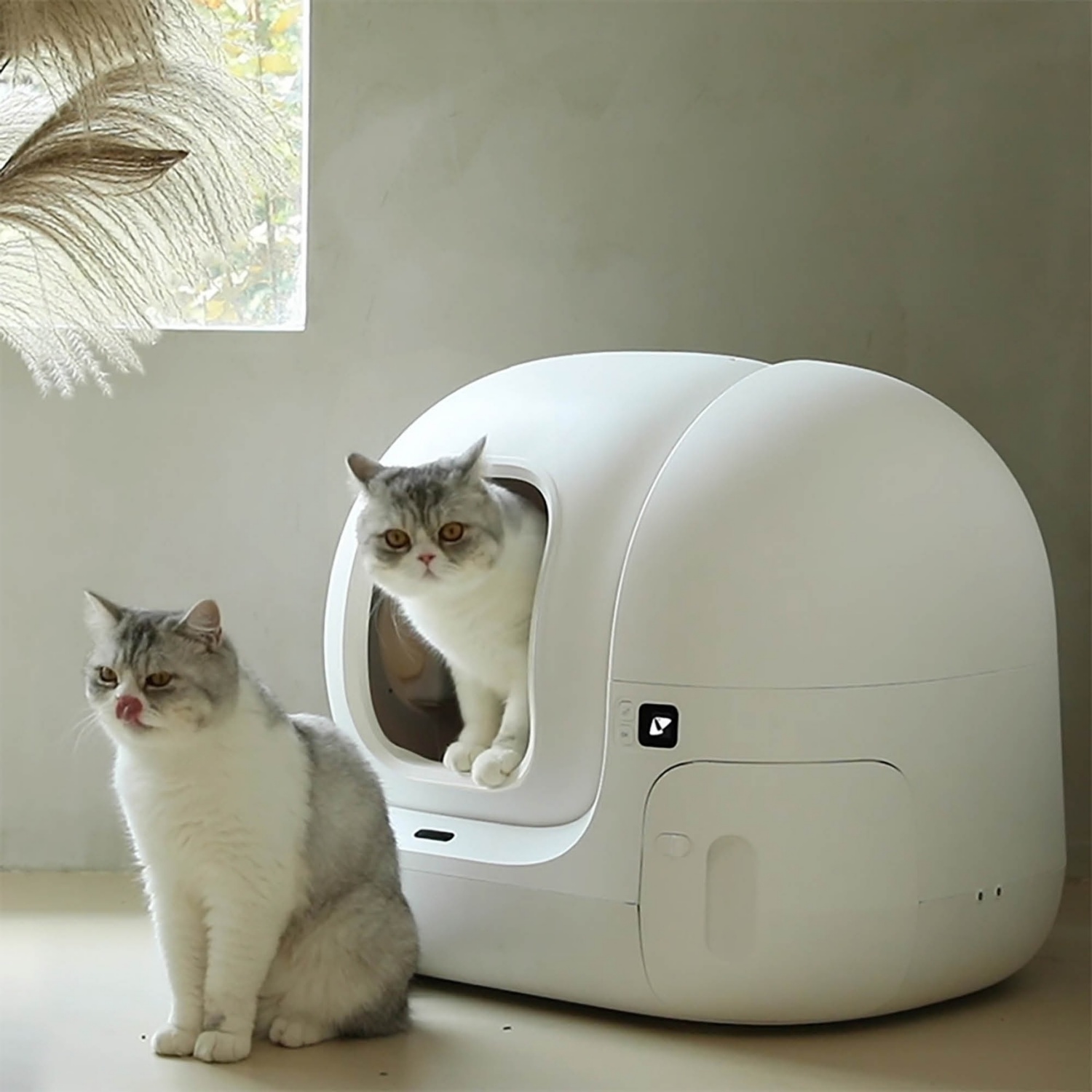 PETKIT Pura Max - Toilettes Smart pour Cat