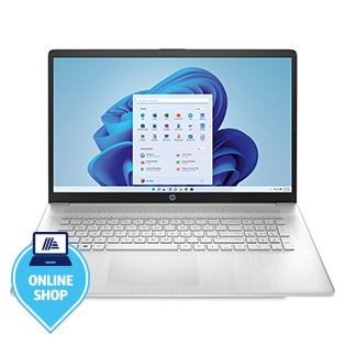 HP Laptop 17-cp0817ng