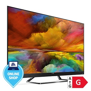 4K Ultra HD Quantum Dot Android Smart-TV 55“ (139 cm) EQ3EA