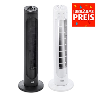 Turmventilator