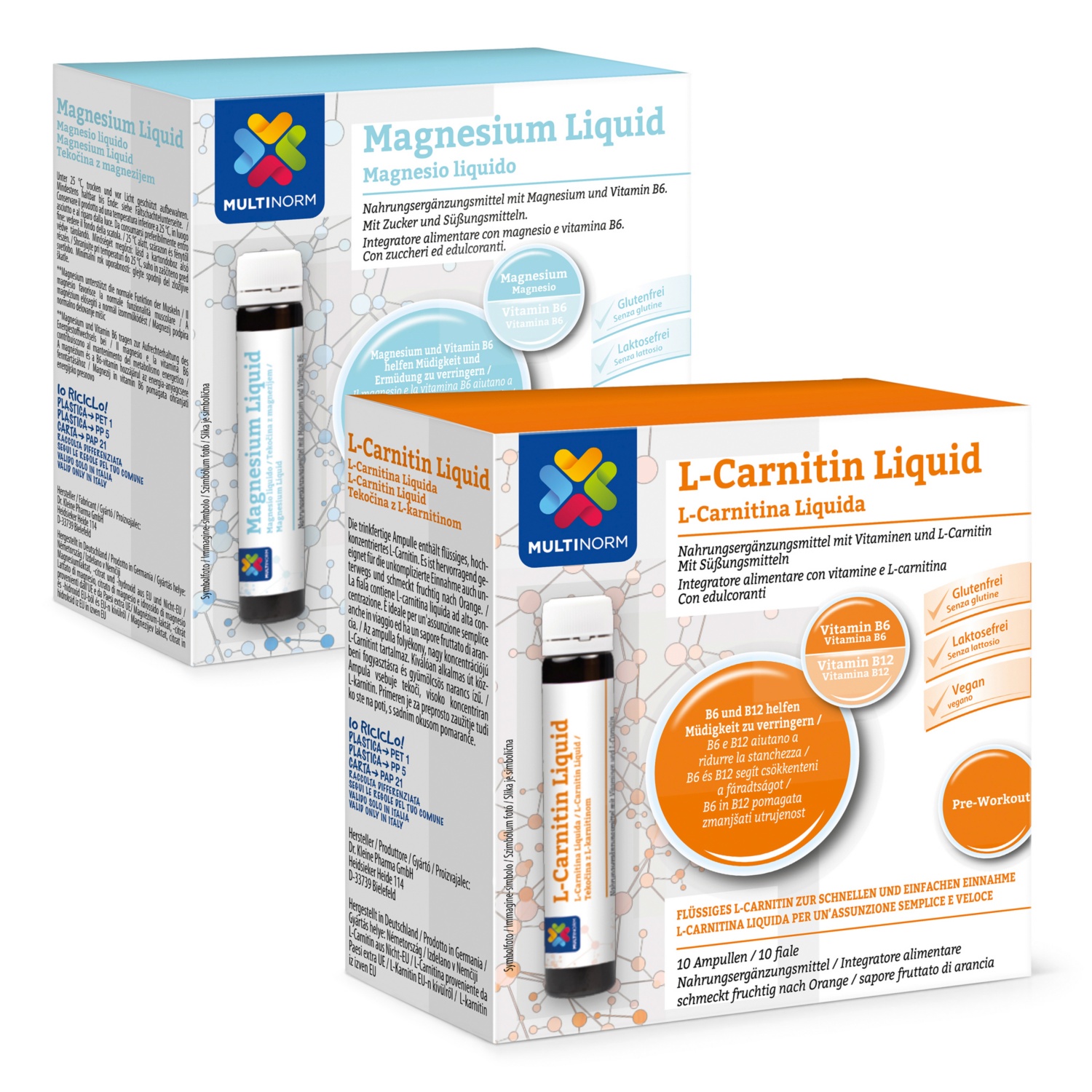 MULTINORM L-Carnitin-/Magnesium-Liquid