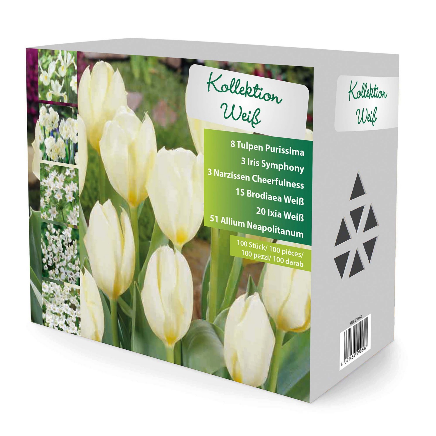 Blumenzwiebeln Ton in Ton, Weiss ALDI SUISSE