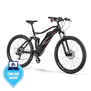 PROPHETE KEEP MOVING E-MTB Mittelmotor