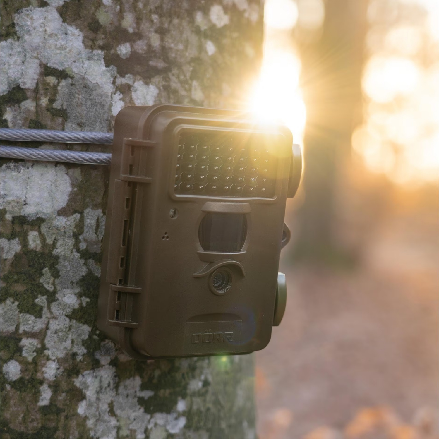 DÖRR Fotocamera per animali selvatici SnapShot Mini Black 30MP 4K