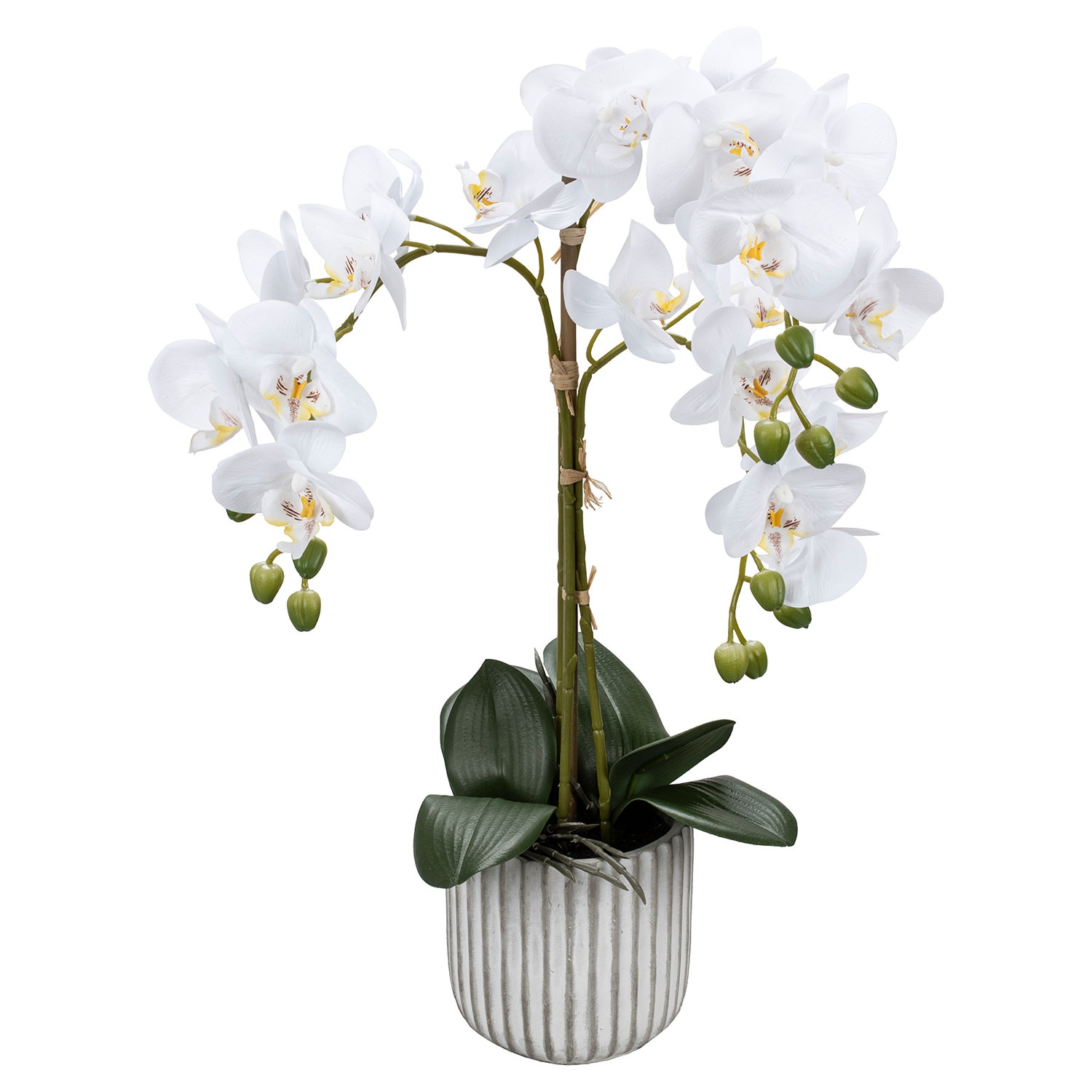 CASA DECO Naturgetreue Orchidee im Topf