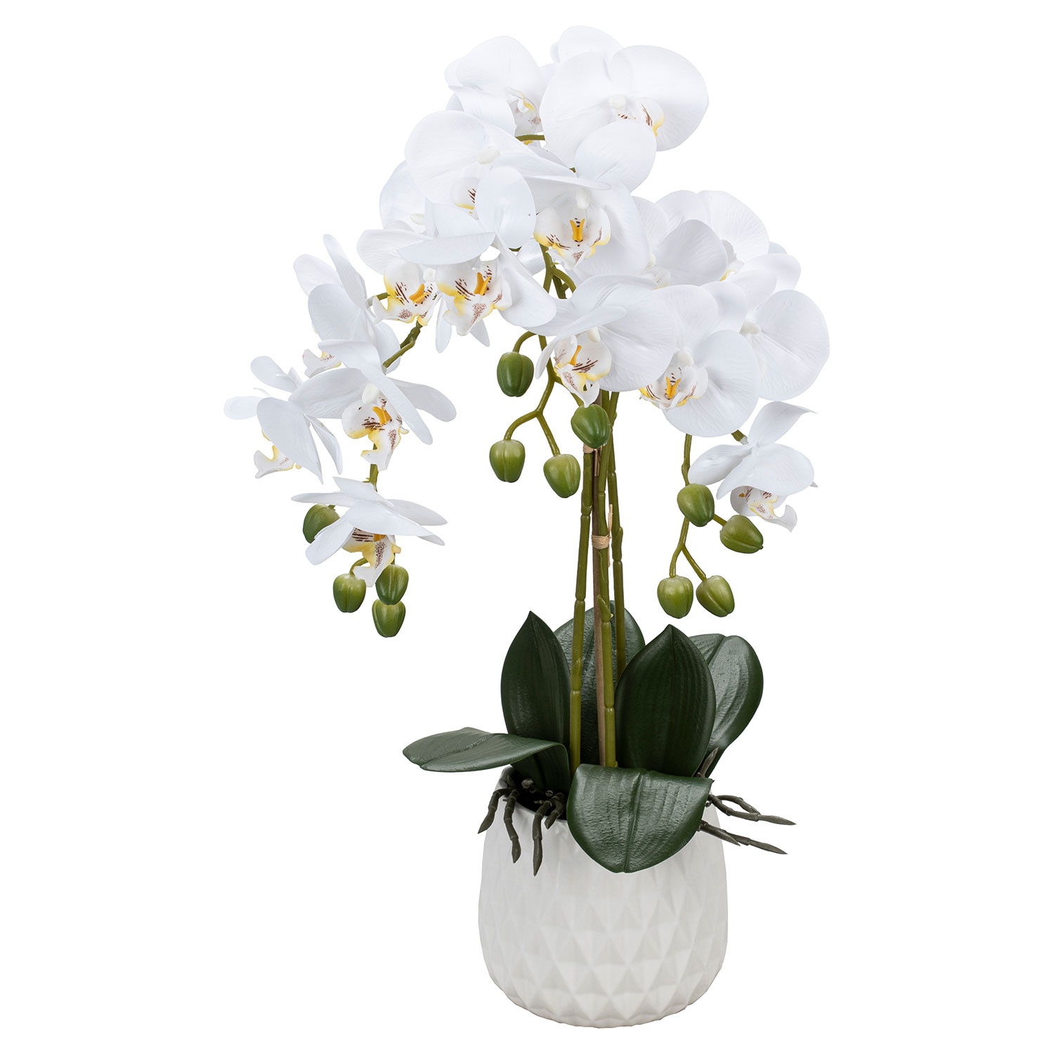 CASA DECO Naturgetreue Orchidee im Topf