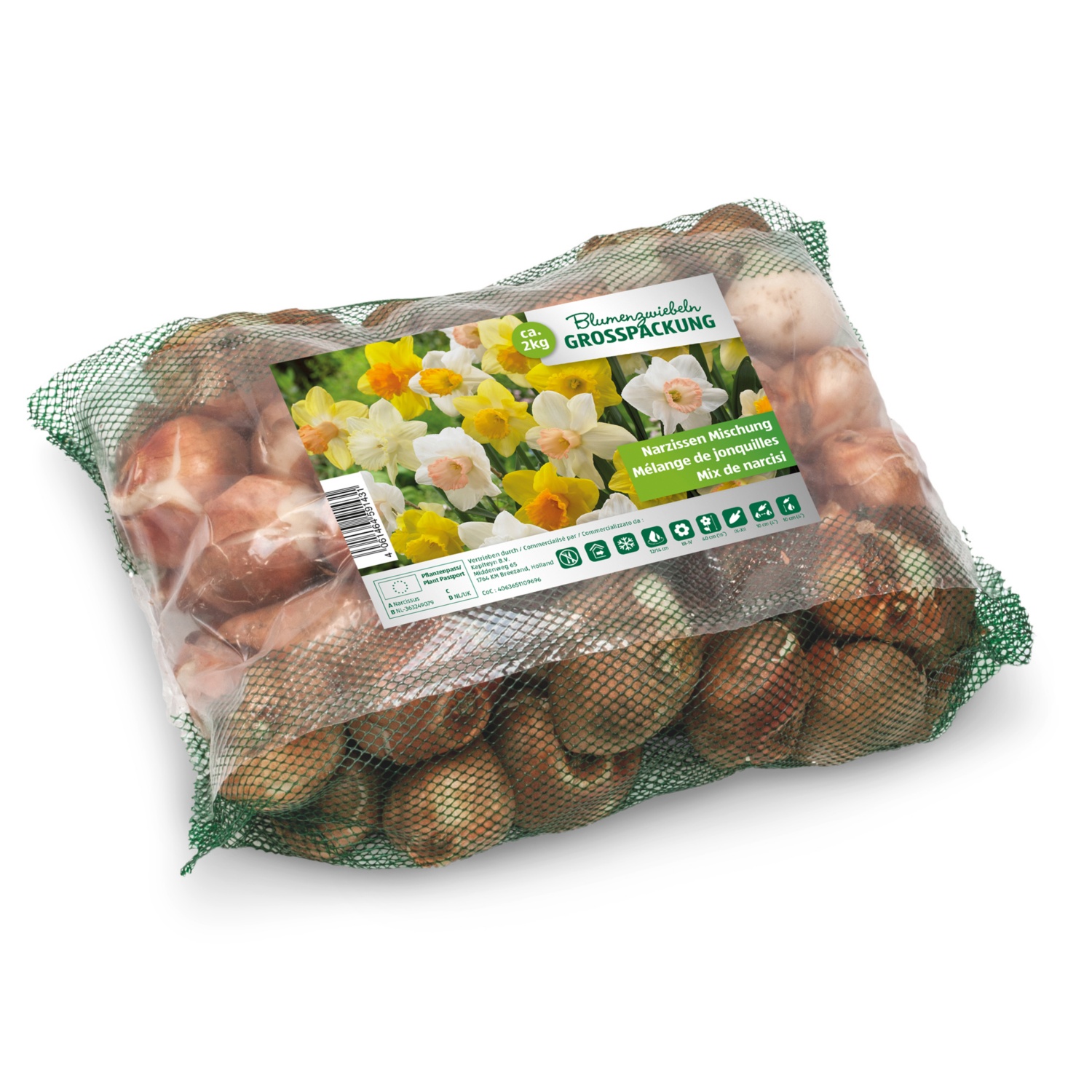 Blumenzwiebeln Grosspackung, Narzissen Mischung ALDI SUISSE