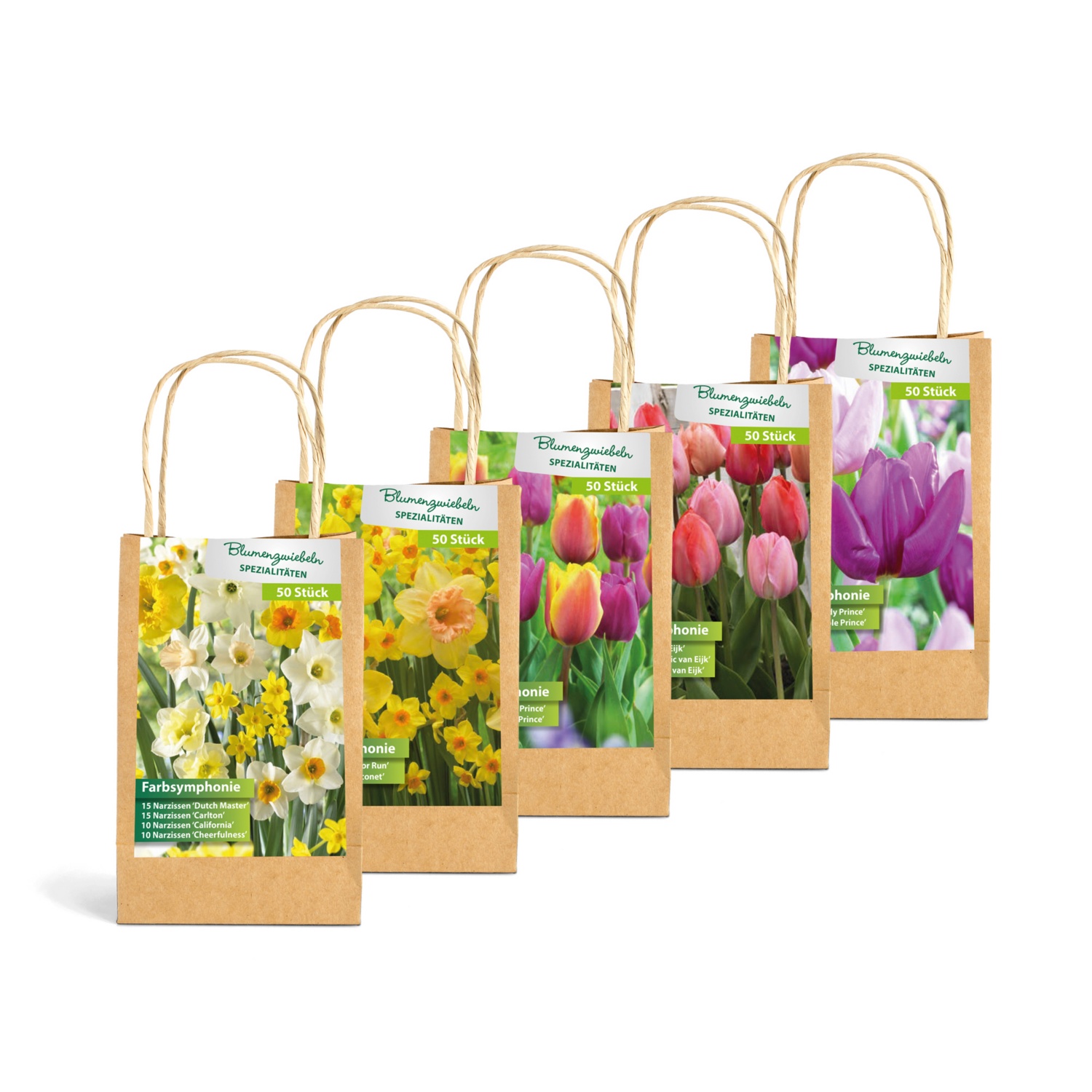 Blumenzwiebeln Spezialitäten