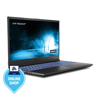 Core Gaming Notebook MEDION® ERAZER® Crawler E30 (MD64125)