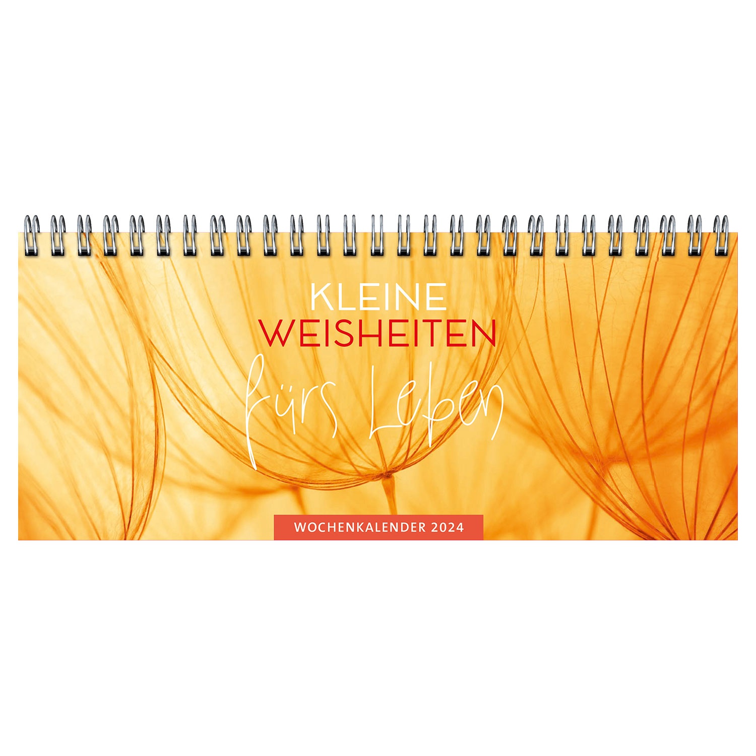 56+ Aldi Tischkalender 2025, Dieser beitrag soll nämlich als kleine