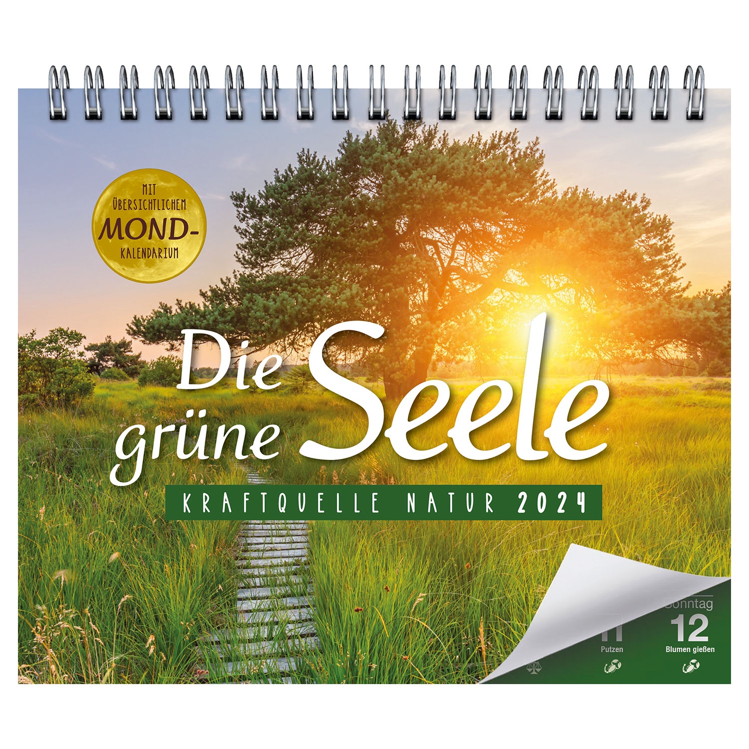 Wochen und Tischkalender ALDI SÜD