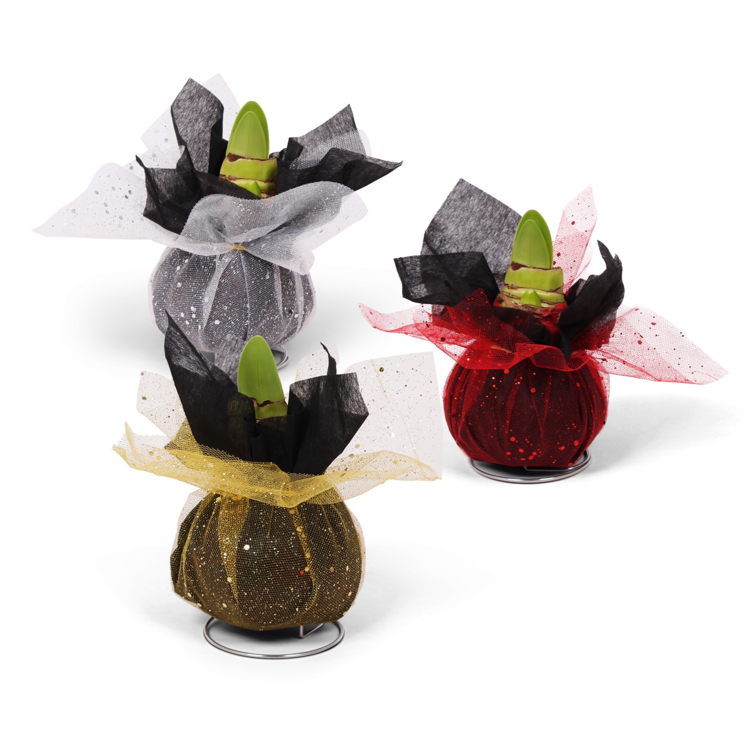 NO BRAND, Amaryllis mit Dekotuch