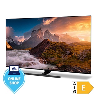 MEDION® LIFE® X16518 (MD30062) 163,9 cm (65
