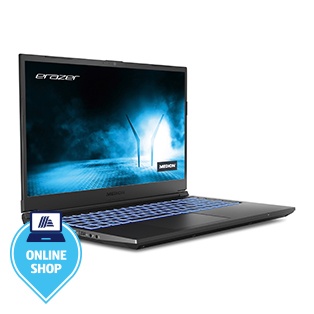 Core Gaming Notebook MEDION ERAZER Crawler E30 (MD64125)