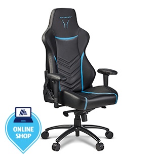 MEDION ERAZER X89410 Premium Gaming Stuhl (MD88410)