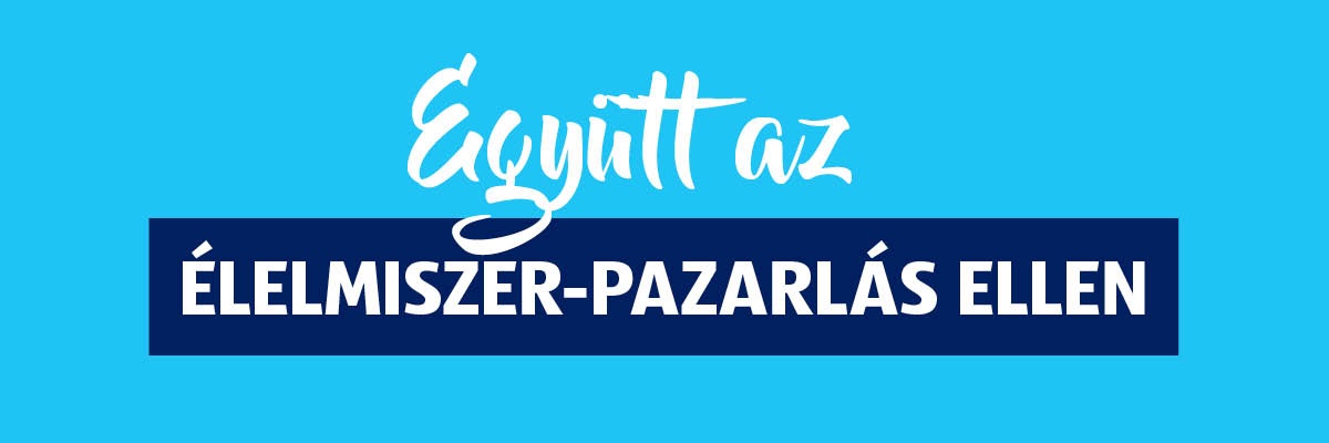 Letölthető kisokos