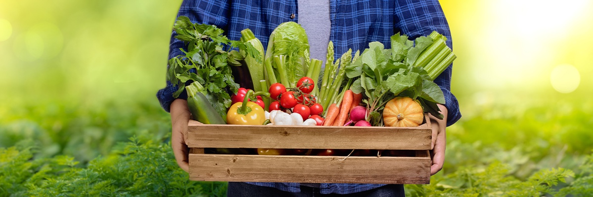 Person hält eine Holzkiste mit verschiedenen frischen Gemüsesorten in einem Garten.