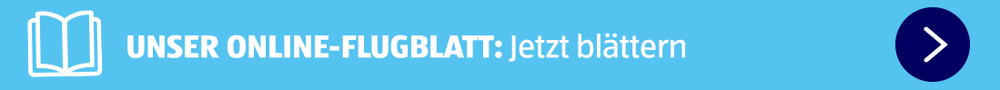 Zum Flugblatt