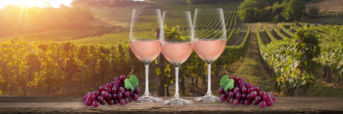 Wein-Sortiment: Exklusive Weine zum besten Preis | HOFER Vinothek