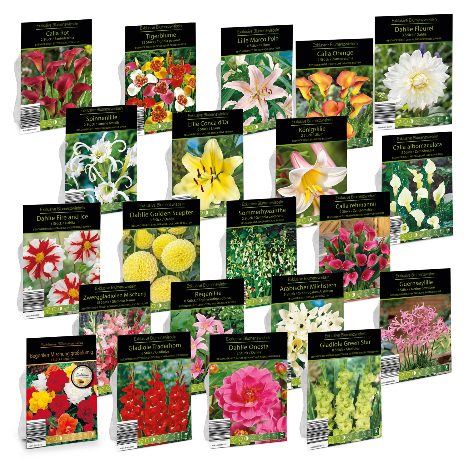 Exklusive Blumenzwiebeln