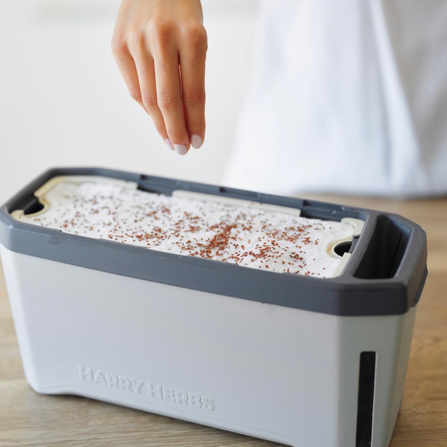 Kräutertopf HARRY HERBS mit Haube | ALDI SUISSE