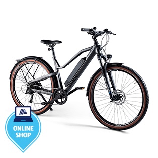 PROPHETE Sport E-SUV 29