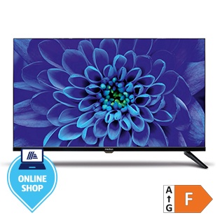 MEDION® LIFE® E13208 (MD30328) 80 cm (32