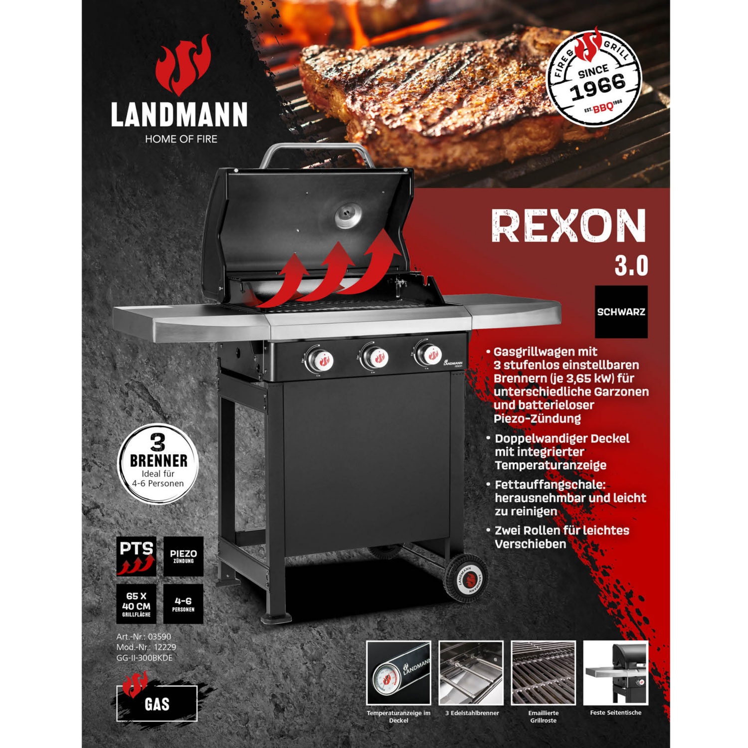 LANDMANN Gasgrill 12229 Rexon PTS ALDI SUISSE